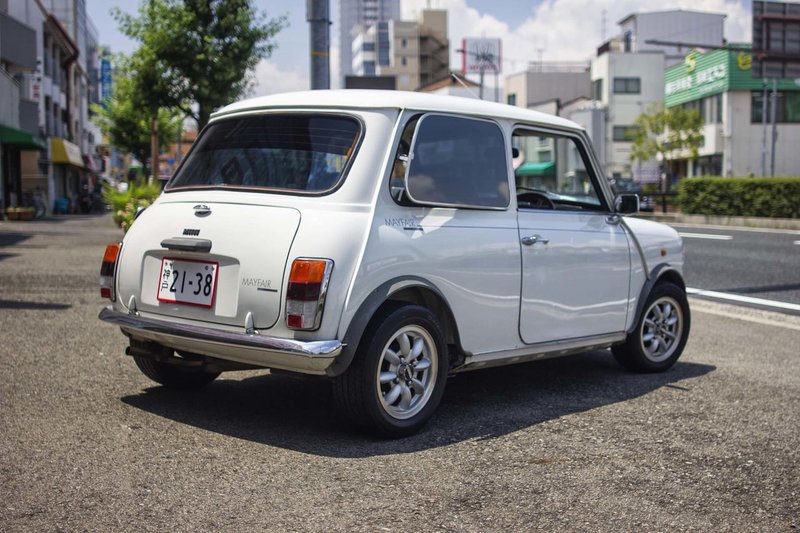 Illustration for article titled A few pics of the Mini I TRIED to play with 2 days ago...